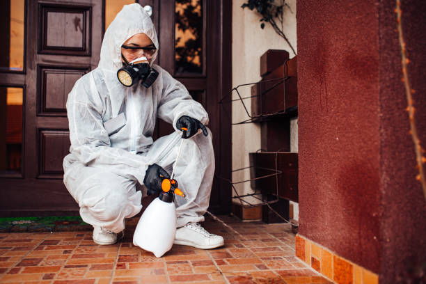 Reliable Cockroach Control contractor in Haven, KS by Nex Pest Control
